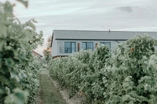 Weekend dla dwojga w Winnicy Witaj Słońce okolice Kutna - Czasopisma - miniaturka - grafika 1