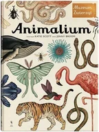 Książki edukacyjne - Animalium - miniaturka - grafika 1