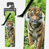 Zakładki do książek - Zakładka 3D 15404 - Tygrys - IF - miniaturka - grafika 1