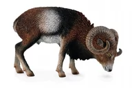 Figurki dla dzieci - Collecta Muflon europejski L - miniaturka - grafika 1