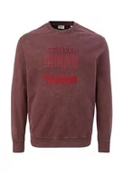 Bluzy męskie - s.Oliver Sales GmbH & Co. KG/s.Oliver Bluza męska z nadrukiem z przodu, fioletowy, 4XL - miniaturka - grafika 1