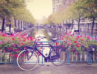 Plakat, Amsterdam Wiosną Rower wśród Kwiatów, 59,4x42 cm - Plakaty - miniaturka - grafika 1
