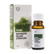 Olejki do ciała i włosów - Naturalne aromaty Olejek naturalny Goździkowy 12 ml - miniaturka - grafika 1