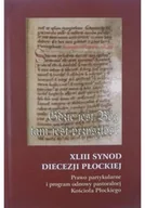 Religia i religioznawstwo - Gdzie jest Bóg tam jest przyszłość XLIII Synod Diecezji Płockiej - miniaturka - grafika 1