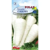 Nasiona i cebule - Pietruszka Cukrowa Polan - miniaturka - grafika 1