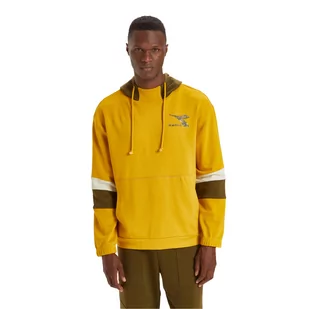 Bluza męska DIADORA HOODIE SWEAT SHIELD - Bluzy męskie - miniaturka - grafika 1