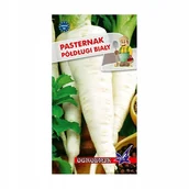 Nasiona i cebule - Pasternak Półdługi Biały 5g / O / - miniaturka - grafika 1