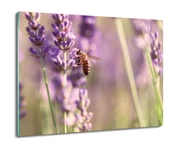 Deski do krojenia - płyty ochronne na indukcję Lawenda pszczoły 60x52, ArtprintCave - miniaturka - grafika 1