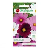 Nasiona i cebule - Legutko Onętek, Kosmos mieszanka 5903837097005 - miniaturka - grafika 1