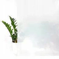 Tapety - Samoprzylepna Okienna Folia Ochronna Mleczna Na Szybę Drzwi Meble Okna 67x100 - miniaturka - grafika 1