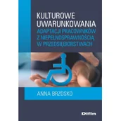 Ekonomia - Difin Kulturowe uwarunkowania adaptacji pracowników z niepełnosprawnością w przedsiębiorstwach - miniaturka - grafika 1