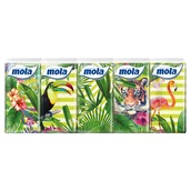 Chusteczki higieniczne - Metsa Tissue Chusteczki higieniczne Mola Clasic (10x10 sztuk) - miniaturka - grafika 1