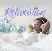 Muzyka relaksacyjna - The Sound Of Relaxation - miniaturka - grafika 1