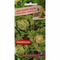 Nasiona i cebule - Sałata masłowa mix całoroczna 1g / O / - miniaturka - grafika 1