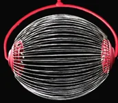 Pozostałe narzędzia ogrodowe - Zbierak do owoców i orzechów- mały - miniaturka - grafika 1