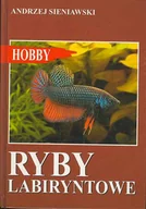 Rośliny i zwierzęta - Ryby labiryntowe - Andrzej Sieniawski - miniaturka - grafika 1