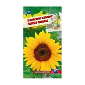 Nasiona i cebule - Słonecznik ozdobny wysoki Sunset Orange 2g / O / - miniaturka - grafika 1