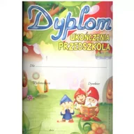 Podobrazia, bloki, papiery - Dyplom ukończenia Zerówki A4 Outlet - miniaturka - grafika 1