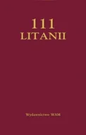 Religia i religioznawstwo - 111 litanii - miniaturka - grafika 1