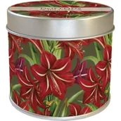 Świece - Skona Ting Zapachowa świeczka gwiazda bet. - zapach jabłkowy - miniaturka - grafika 1