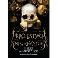Fantasy - Królestwo Nikczemnych 044624 - miniaturka - grafika 1