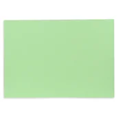 Scrapbooking - Canson Karton Kolorowy Iris Pistacjowy - miniaturka - grafika 1