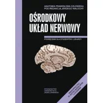 Wydawnictwo Uniwersytetu Jagiellońskiego Jerzy Walocha Anatomia prawidłowa człowieka. Ośrodkowy układ nerwowy. Podręcznik dla studentów i lekarzy - Podręczniki dla szkół wyższych - miniaturka - grafika 1