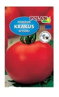 Nasiona i cebule - Pomidor gruntowy Krakus 1 g POLAN - miniaturka - grafika 1