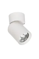 Lampy sufitowe - Timo lampa sufitowa (spot) 1-punktowa biała - miniaturka - grafika 1