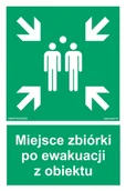 Systemy ekspozycyjne i znaki informacyjne - AC085 MIEJSCE PO EWAKUACJI Z OBIEKTU, PS - PŁYTA PCV 1MM FOTOLUMINESCENCYJNA; (700X1050MM) - miniaturka - grafika 1