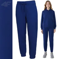 Spodnie damskie - Spodnie Damskie 4f Dresowe Sportowe Joggery F1138 Dresy Na Co Dzień Xl - miniaturka - grafika 1