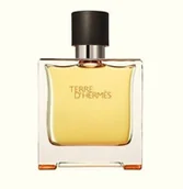 Wody i perfumy męskie - Hermes Terre d´Hermes 75ml woda perfumowana Tester - miniaturka - grafika 1