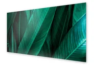 Dekoracje domu - Panel kuchenny HOMEPRINT Zbliżenie na liście 120x60 cm - miniaturka - grafika 1