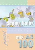 Papier do drukarek - . Papier kolorowy A4 100k 160g pastel mix kolorów - miniaturka - grafika 1