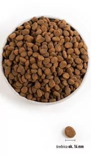 ORIJEN Regional Red Dog 6kg - Sucha karma dla psów - miniaturka - grafika 4