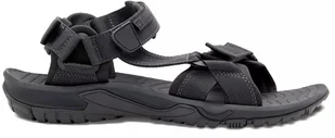 Sandały męskie Jack Wolfskin LAKEWOOD RIDE SANDAL M 4019021_6350 44.5 - Sandały męskie - miniaturka - grafika 1
