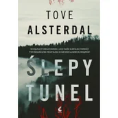 Kryminały - Ślepy tunel Tove Alsterdal - miniaturka - grafika 1