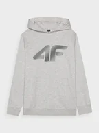 Bluzy sportowe męskie - Męska bluza dresowa nierozpinana z kapturem 4F 4FWMM00TSWSM1766 - szara - miniaturka - grafika 1