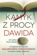 Religia i religioznawstwo - Kamyk z procy Dawida - Jak czytać Pismo Święte z ks prof. Waldemarem Chrostowskim rozmawia Tomasz Rowiński - miniaturka - grafika 1