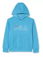 Bluzy dla chłopców - FILA Chłopięca bluza z kapturem, Cendre Blue, 158/164, cendre blue, 158-164 - miniaturka - grafika 1