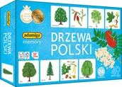 Gry planszowe - Memory Drzewa Polski Adamigo - gra - miniaturka - grafika 1