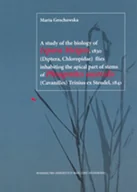 Klasyka - A study of the biology of Lipara Meigen 1830 flies inhabiting the apical part of stems of Phragmites australis Trinius ex Steudel 1841 - Maria Grochow - miniaturka - grafika 1