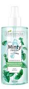 Pielęgnacja stóp - Bielenda MINTY FRESH FOOT CARE MGIEŁKA DO STÓP ODŚWIEŻAJĄCA ANTYPERSPIRANT 150ML - miniaturka - grafika 1