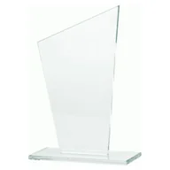 Gadżety dla kibiców - VS VS, Trofeum szklane - miniaturka - grafika 1