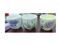 Donice - Donica - miniaturka - grafika 1