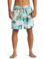 Spodenki damskie - Quiksilver Szorty kąpielowe Everyday Mix Volley 17NB Męskie Zielone L - miniaturka - grafika 1