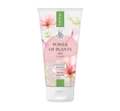 Peelingi do ciała - Lirene Power of Plants Nawilżający Peeling myjący Rose Touch 175 ml - miniaturka - grafika 1