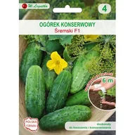 Nasiona i cebule - Nasiona na taśmie - ogórek gruntowy Śremski F1 W.Legutko - miniaturka - grafika 1