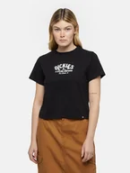 Koszulki i topy damskie - t-shirt donna dickies companion w tee - dk0a863k blk1 black - miniaturka - grafika 1