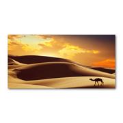 Obrazy i zdjęcia na płótnie - Fotoobraz na ścianę szklany Wielbłąd Sahara - miniaturka - grafika 1